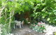 Warriwillah - Millthorpe's Country Motel - thumb 3