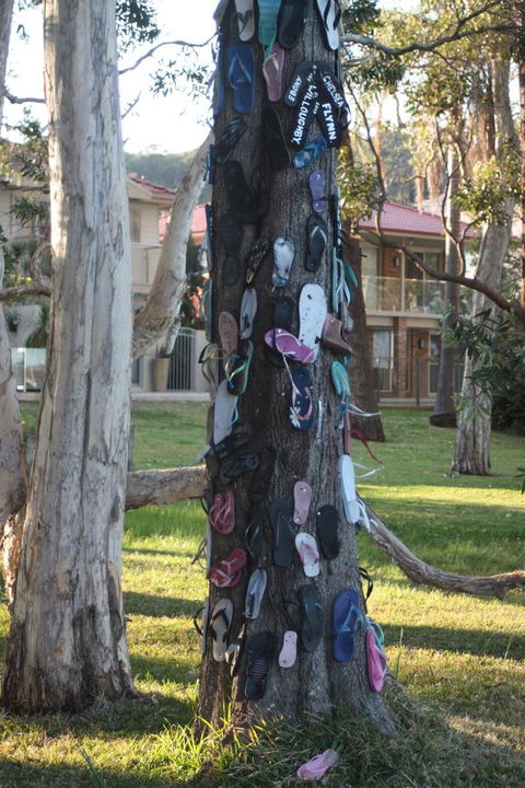 Ambience - Accommodation Redcliffe 33