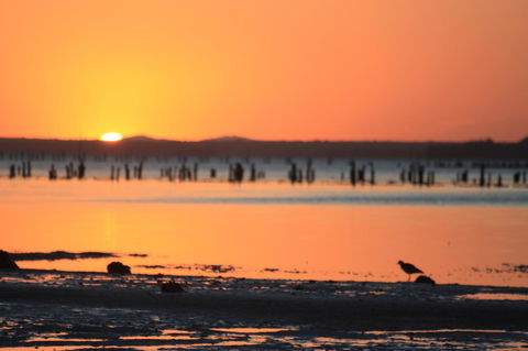 Ambience - Accommodation Redcliffe 35