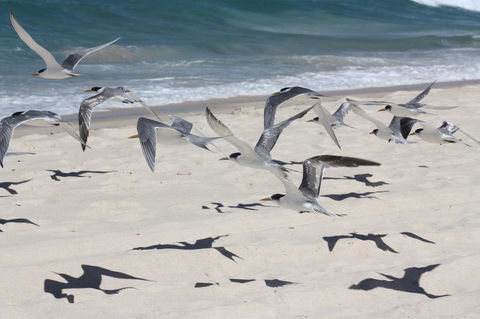 Ambience - Accommodation Redcliffe 32