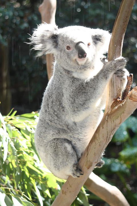 Ambience - Accommodation Redcliffe 27