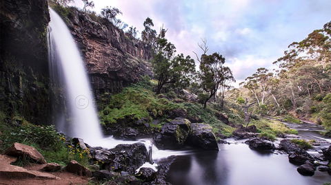 Pound Creek Gallery - Accommodation Redcliffe 14