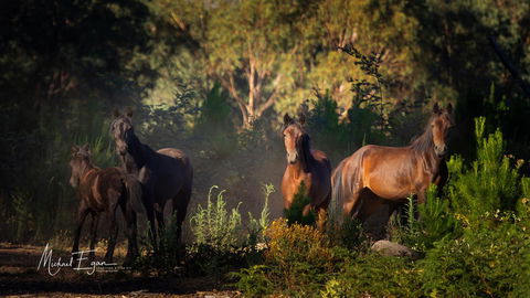 Pound Creek Gallery - Accommodation Redcliffe 18