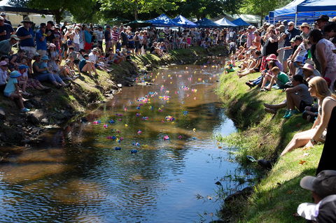 Pound Creek Gallery - Accommodation Redcliffe 15