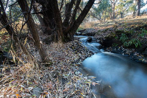 Pound Creek Gallery - Accommodation Redcliffe 26