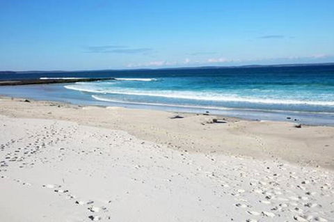 Jervis Bay Beach Shack I Pet Friendly - Accommodation Redcliffe 16