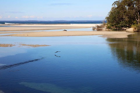 Jervis Bay Beach Shack I Pet Friendly - Accommodation Redcliffe 19