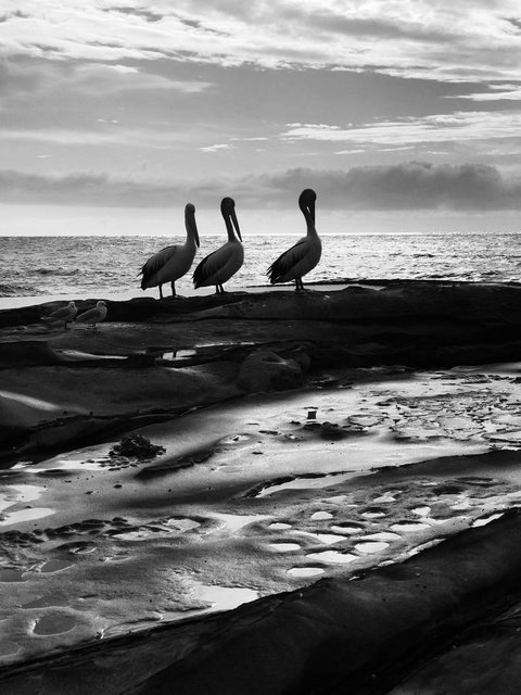 Waterview Beach Apartment - Accommodation Redcliffe 28