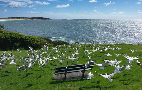 Waterview Beach Apartment - Accommodation Redcliffe 25