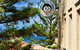 Mad Monkey Hostel Coogee Beach - thumb 9