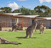 Discovery Parks  Pambula Beach - Accommodation Redcliffe