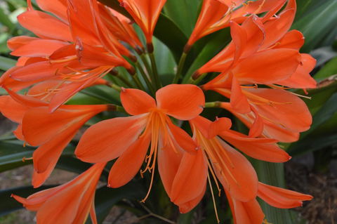 JE Guesthouse, Central To All The Hunter Valley Has To Offer - Accommodation Redcliffe 39