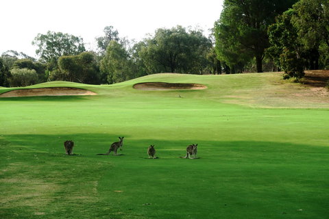 Mulwala Resort - Accommodation Redcliffe 40