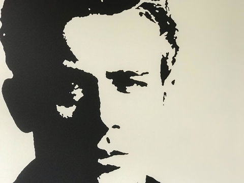 Woollahra Gem, Spectacular Views And Garden Paradise - Accommodation Redcliffe 16