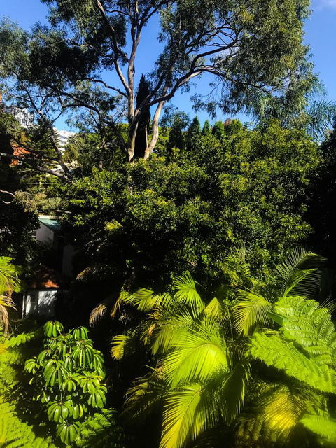 Woollahra Gem, Spectacular Views And Garden Paradise - Accommodation Redcliffe 31