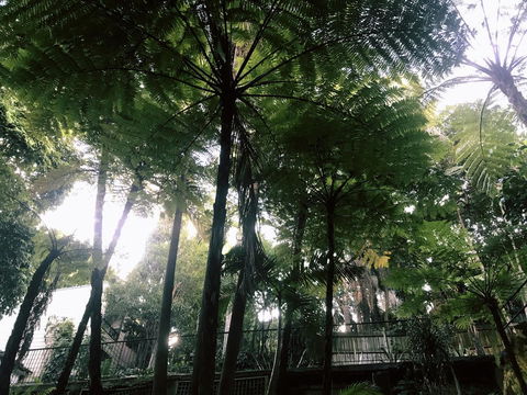 Woollahra Gem, Spectacular Views And Garden Paradise - Accommodation Redcliffe 33