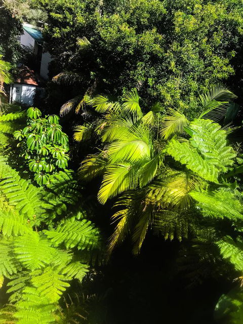 Woollahra Gem, Spectacular Views And Garden Paradise - Accommodation Redcliffe 29