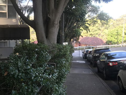 Woollahra Gem, Spectacular Views And Garden Paradise - Accommodation Redcliffe 1