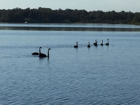 Swan Bay Hideaway - Accommodation Redcliffe 7