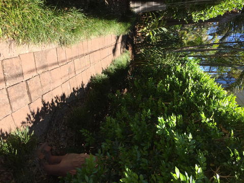 Swan Bay Hideaway - Accommodation Redcliffe 6