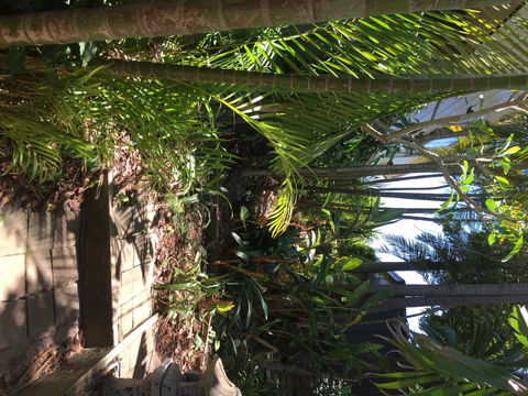 Swan Bay Hideaway - Accommodation Redcliffe 9