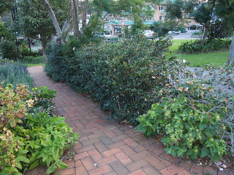 Bellevue Accommodation - Accommodation Redcliffe 22
