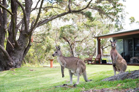 By The Beach B&B Self Contained Apartments - Accommodation Redcliffe 17