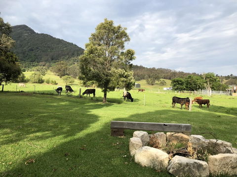 Arcadia - The Barn Cottage & Rosehill Cottage - Accommodation Redcliffe 29