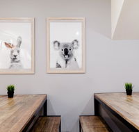 Mad Monkey Backpackers on Broadway - Accommodation Redcliffe