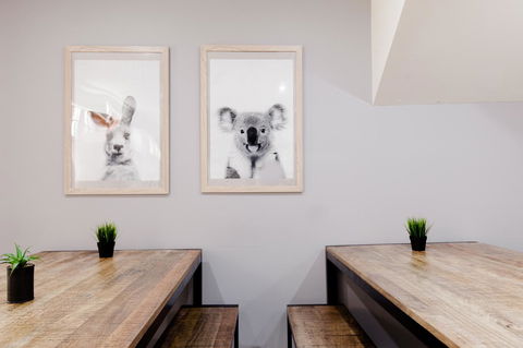 Mad Monkey Broadway - Accommodation Redcliffe 0