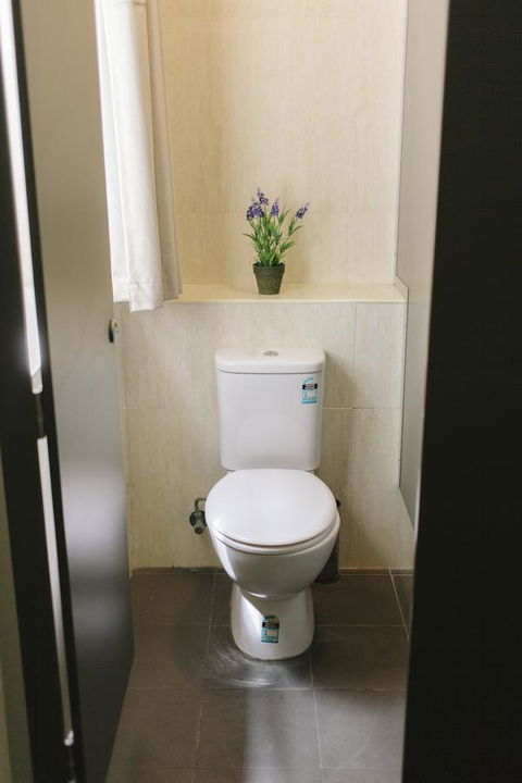 Mad Monkey Broadway - Accommodation Redcliffe 32