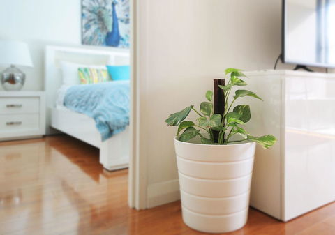 Sydney Apartment Close To Airport & CBD - Accommodation Redcliffe 7