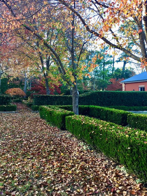 Chanticleer Gardens Barn Cottage With A Pool - Accommodation Redcliffe 37