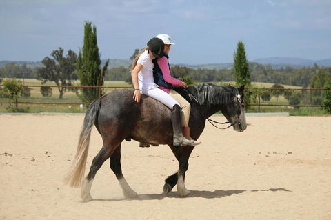 Belisi Farmstay Cottage - Accommodation Redcliffe 28
