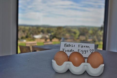 Belisi Farmstay Cottage - Accommodation Redcliffe 20