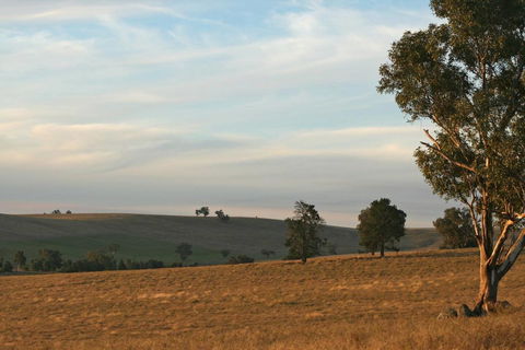 Belisi Farmstay Cottage - Accommodation Redcliffe 33