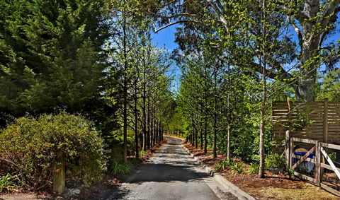 Bundanoon Lodge - Accommodation Redcliffe 21