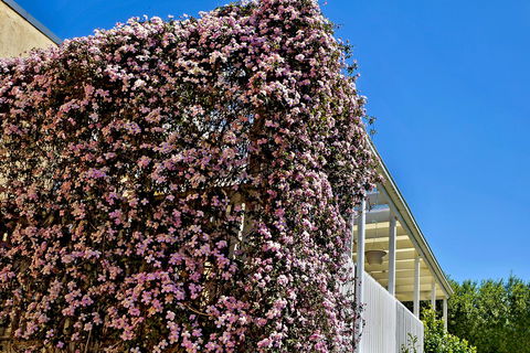 Bundanoon Lodge - Accommodation Redcliffe 13
