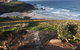 OceanScape Luxury Beachfront Villas - thumb 20