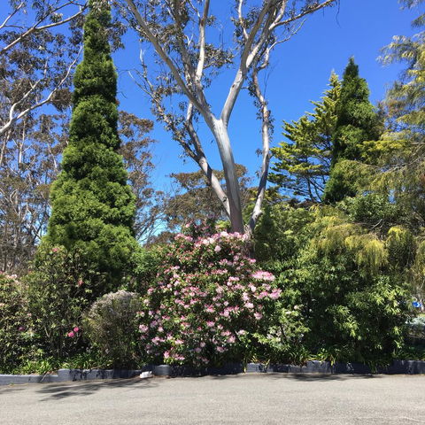 Sky Rider Motor Inn - Accommodation Redcliffe 32