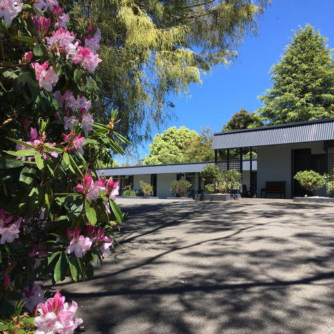 Sky Rider Motor Inn - Accommodation Redcliffe 14