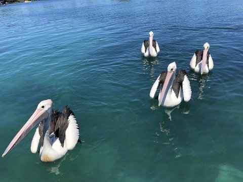 Aquarius 9 - Accommodation Redcliffe 4