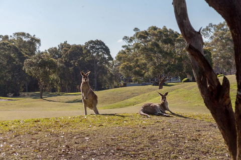 Horizons Retreat & Golf, Villa 133 - Accommodation Redcliffe 18