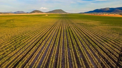 The Old Saddlery - Accommodation Redcliffe 14