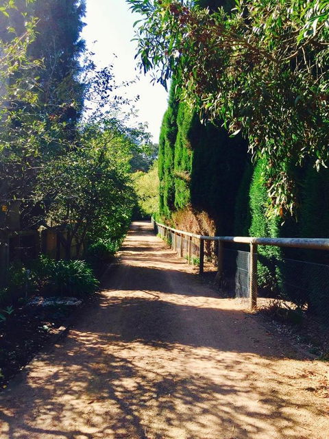 Bowral Escape - Accommodation Redcliffe 24