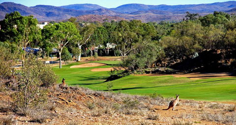 Desert Palms Alice Springs - Accommodation Redcliffe 30