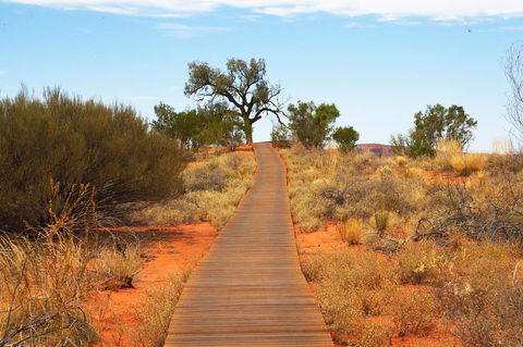 Discovery Resorts - Kings Canyon - Accommodation Redcliffe 27