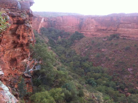 Discovery Resorts - Kings Canyon - Accommodation Redcliffe 34