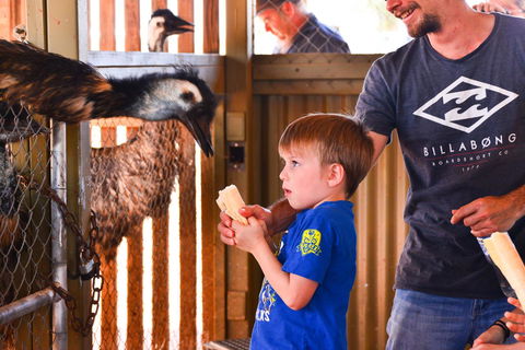 Erldunda Desert Oaks Resort - Accommodation Redcliffe 13