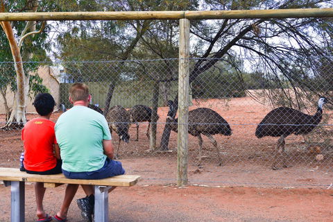 Erldunda Desert Oaks Resort - Accommodation Redcliffe 21